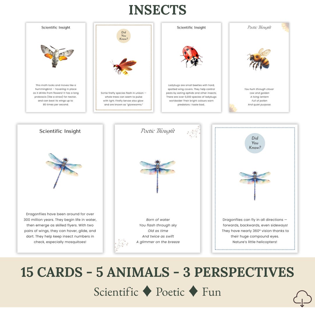 15 Printable Insect Cards, Three Perspectives, Butterfly, Ladybug ...