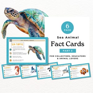 Educatieve informatiekaarten, zeedieren (deel 3), voor leerkrachten, thuisonderwijs en verzamelaars SA02