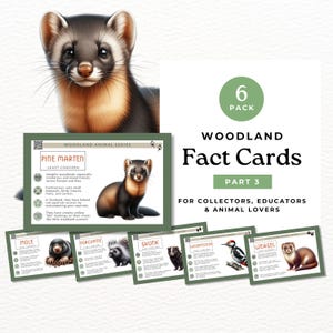 Woodland Fact Cards, Educational & Collectible Animal Set part 3, Forest Animal Facts, Bonus QR codes WA02