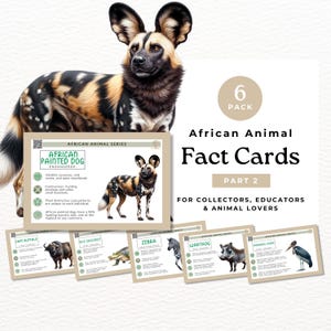 Educatieve informatiekaarten, Afrikaanse dieren, safaridieren (deel 2), voor leerkrachten, thuisonderwijs en verzamelaars AF01
