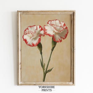Vintage Floral Oil Painting, Red and White Carnation Wall Art, Elegant Botanical Printable, Soft Botanical Print for Bedroom or Living Room