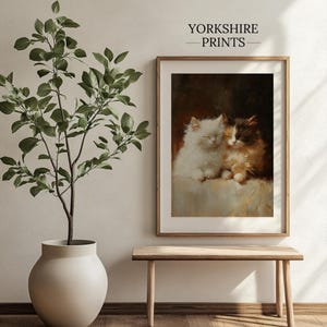 May include: A framed print of a painting depicting two cats cuddling together. The cats are white and brown with black markings. The print is set against a white wall with a potted plant and a wooden bench in the foreground. The text "YORKSHIRE PRINTS" is displayed above the print.