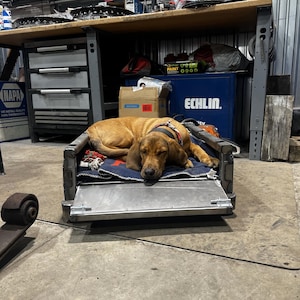May include: A brown and white dog is sleeping in a metal dog bed with a gray blanket. The bed is in a garage with tools and other items in the background.
