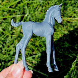 Curious Foal in Venti scale (1:20)