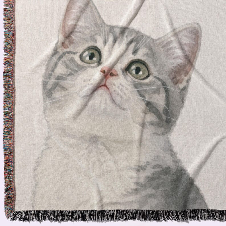 Puede incluir: Una manta tejida con una ilustraci&oacute;n detallada de un gato gris y blanco con ojos verdes. El gato est&aacute; mirando hacia arriba. La manta tiene un borde con flecos con una mezcla de colores.