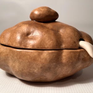 Puede incluir: Un recipiente de cerámica marrón con tapa y un pequeño pomo en la parte superior. El recipiente tiene una forma orgánica única y una protuberancia blanca en forma de diente que se extiende desde el lateral. La superficie tiene una textura moteada.