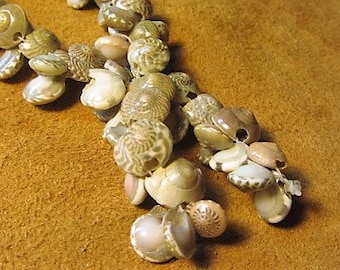 Vintage Shell Necklace, Seashell Necklace, Long Shell Necklace, Made in India Necklace, Sea Shell Necklace, Shell Jewelry, Women's Necklace