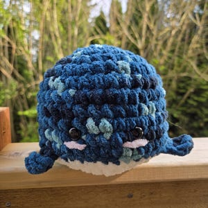 Chip the jumbo whale