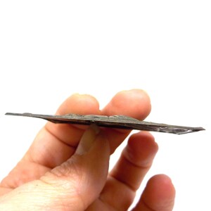 May include: A silver-toned, rectangular metal piece with a raised relief design. The object is held in a hand against a white background. The metal has a slightly tarnished appearance, suggesting age or wear.