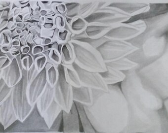 Original Graphite Floral Drawing: Unframed Flower Art (16.5x10.5 inch)
