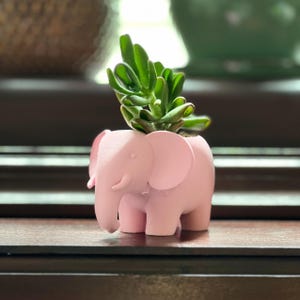 May include: A small, pink elephant-shaped planter with a green succulent plant. The planter has detailed features, including ears, a trunk, and legs. The succulent has thick, green leaves. The planter is on a dark brown surface.