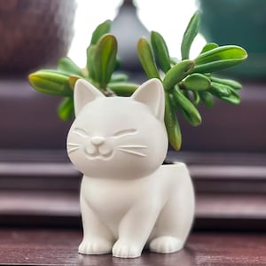 3D Printed Kitty Cat Succulent Planter Pot – Matte White, Black Sizes