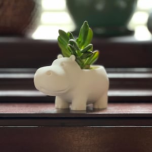 May include: A white ceramic hippo planter holding a green succulent plant. The hippo has a smiling face and four short legs. The succulent has thick, green leaves. The planter is on a dark brown surface.