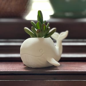 May include: A small, white ceramic whale planter with a succulent plant. The whale has a smiling face, a tail, and fins. The succulent has green leaves and is planted in the whale's head. The planter is on a dark brown surface.