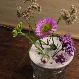May include: A glass jar with a white ceramic flower frog lid, displaying a selection of fresh flowers. The arrangement features a bright purple daisy-like bloom, purple verbena, and dried floral elements. The jar is placed on a wooden surface.