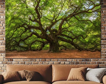 Angel Oak Tree Canvas Print: South Carolina Landscape Wall Art