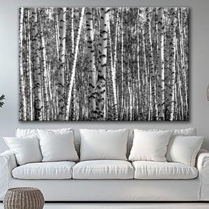 Black and White Birch Tree Canvas Print: Scandinavian Forest Wall Art