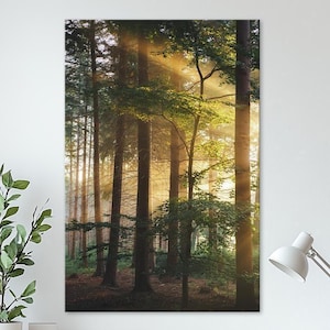 Sunlight Through Forest Trees Wall Art Serene Woodland Landscape Canvas Print Nature Print Decor Peaceful Morning Light Print Canvas