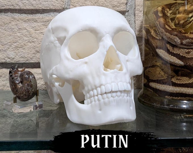 Featured listing image: Skull of Vladimir Putin