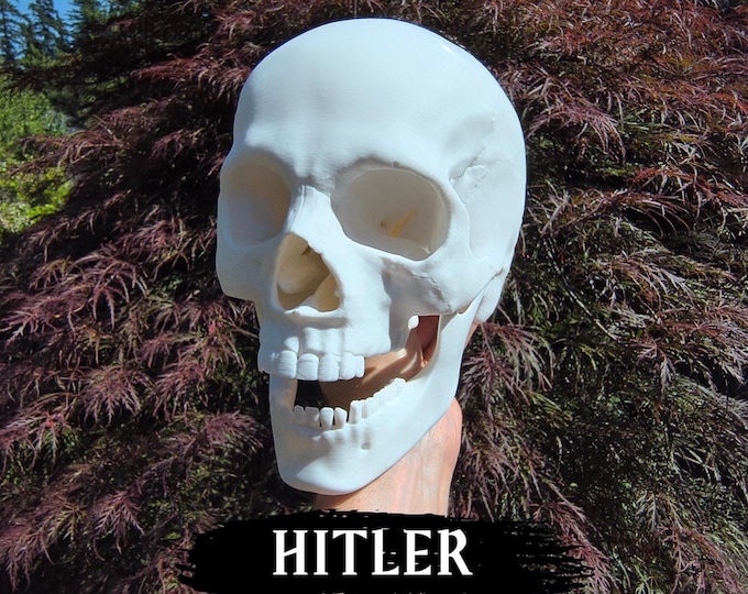 Featured listing image: Skull of Adolf Hitler