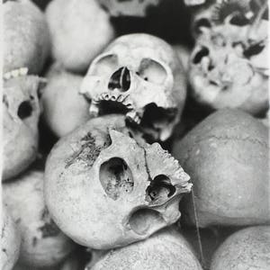 Puede incluir: Una fotografía en blanco y negro de una pila de cráneos humanos. Los cráneos están dispuestos en un orden aleatorio, y algunos están parcialmente ocultos por otros. La imagen se toma desde un ángulo ligeramente elevado, y los cráneos están enfocados.