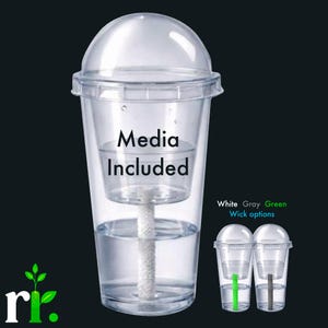 Alocasia-knollenbekers (met media)