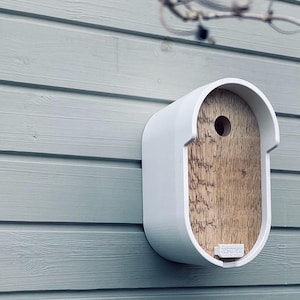 Könnte beinhalten: Ein modernes weißes Vogelhaus mit Holzinnenraum ist an einer hellgrauen Holzwand befestigt. Das Vogelhaus hat eine abgerundete Form mit einem einzigen Eingangsloch. Kahle Äste sind sichtbar.