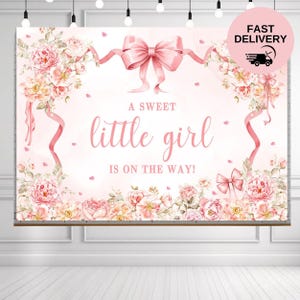 Pink Bow Floral Baby Shower Backdrop: &quot;A Sweet Little Girl&quot; Vinyl Photo Prop