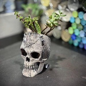 May include: A gray skull-shaped planter with a stitched design, holding a small succulent plant. The planter has a weathered appearance with visible cracks and details. The plant has green leaves and brown stems. The planter is on a dark surface.