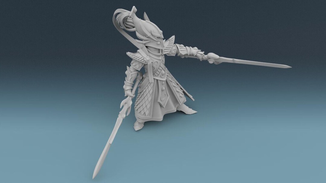 Wielded Elven Master of Dual Wielded Swords - Noble Elf Gladiator - Etsy