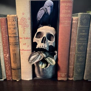 May include: A collection of antique books with aged covers, including titles like "A Brief History of Rome" and "Principles of Human Geography." A skull and raven artwork are nestled among the books, with small statues of grim reapers on either side.