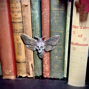 May include: A gray, textured moth ornament featuring a prominent skull pattern on its thorax, positioned horizontally across a row of vintage hardcover books with various colored spines and visible titles including A Brief History of Rome.
