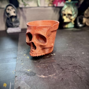 May include: A terracotta-colored planter shaped like a human skull. The vessel features a textured surface with realistic anatomical details, including deep eye sockets, a nasal cavity, and a row of teeth along the lower edge of the opening.