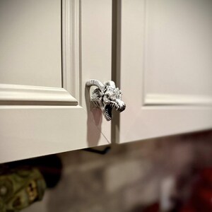 May include: A cabinet door with a decorative dragon head handle. The handle is detailed with horns, scales, and an open mouth, and is mounted on a light-colored cabinet door. The dragon head is a light gray color.