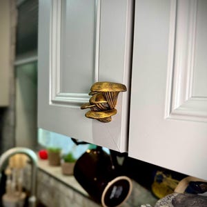 Unpainted - Oyster Mushroom Drawer Pull - Fantasy Drawer Pull - Home Decor