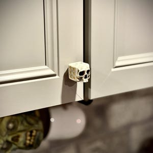 May include: A cabinet door with a skull-shaped knob. The knob is off-white with dark eye sockets and a detailed skull design. The cabinet door is light gray.
