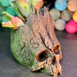May include: A skull-shaped planter with a textured, weathered appearance. The planter is painted in shades of brown and green, with a succulent plant sprouting from the top. The plant has green and red leaves. The background is blurred with colorful objects.