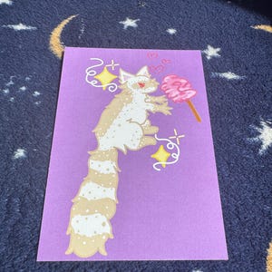 Albino Waschbär Postkarte