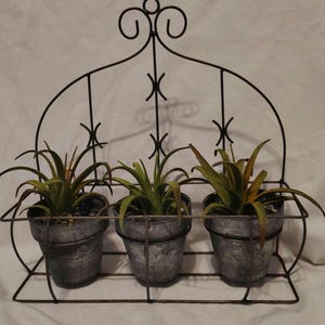 May include: A decorative metal wall planter with three small galvanized pots, each holding a green plant. The black metal frame has an arched top with decorative scrollwork and a grid design to hold the pots. The pots are approximately 4 inches in diameter.
