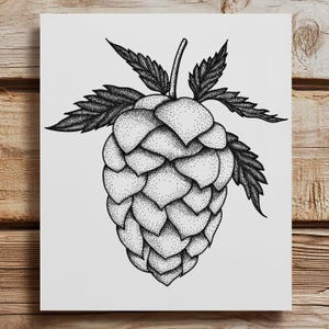 Hops Plant Illustration, Black and White Art, Giclée Digital Illustration for Home or Bar