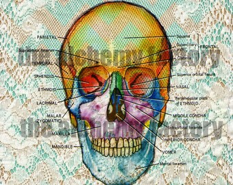 Digital Set of 4 Skull and Lace Background Papers, Skull Tear Sheet, Junk Journaling Papers, Grungy Papers, Shabby Papers