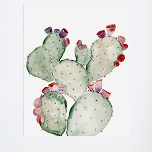 Watercolor Cacti 03 Sage Cactus Floral Prints 11 x 14 Illustration Art Print image 1