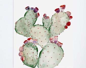 Watercolor Cacti 03 - Sage Cactus - Floral Prints  - 11 x 14  - Illustration - Art Print