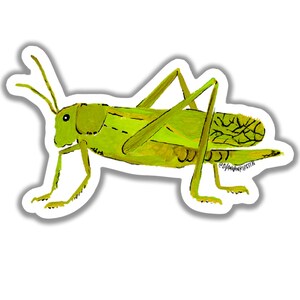 Die Cut Stickers Green Grasshopper Stickers Vinyl Stickers image 1