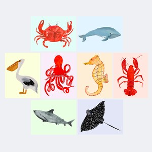 Sea Creatures Postcard Set - Set van 8