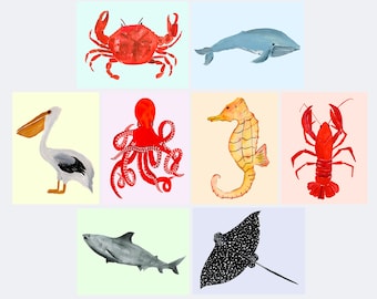 Sea Creatures Postcard Set - Set of 8