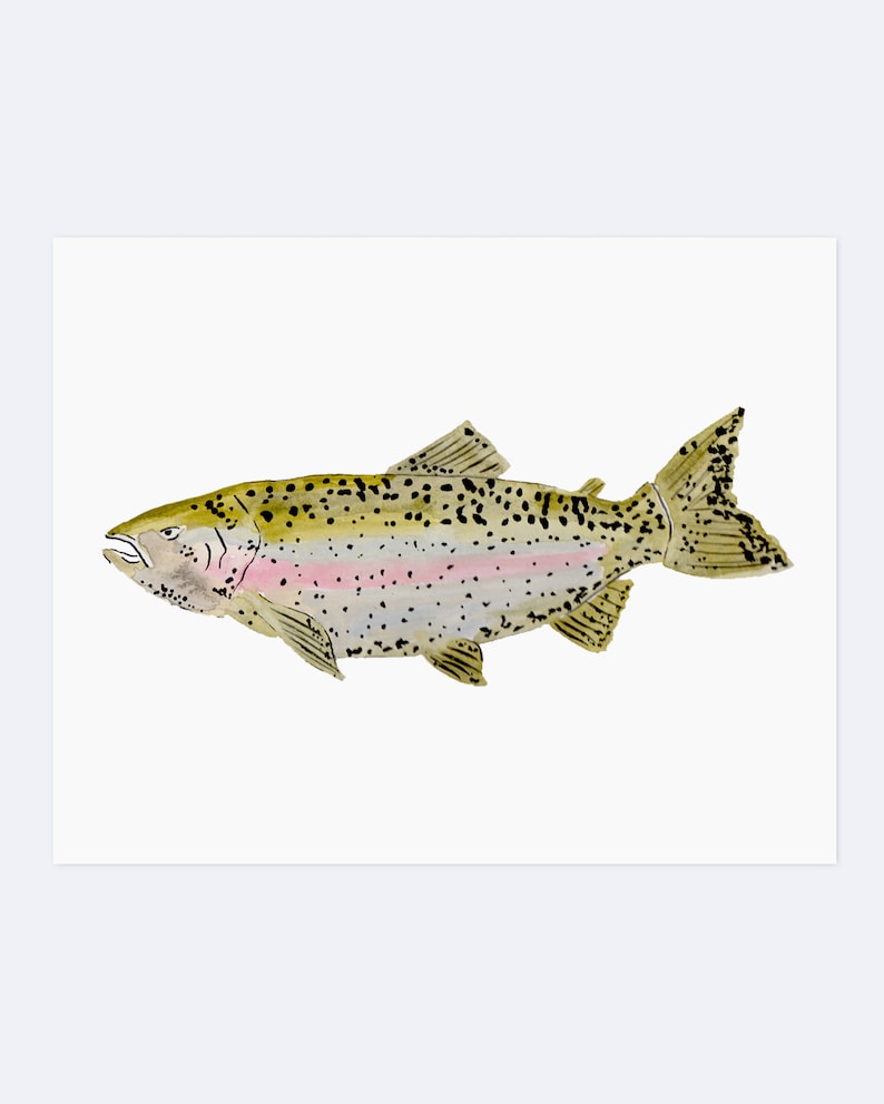 Watercolor Rainbow Trout Art Print 8 X 10 Etsy