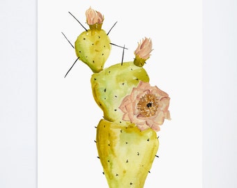 Watercolor Cacti 01 - Prickly Pear Cactus - Floral Prints  - 8 x 10  - Illustration - Art Print