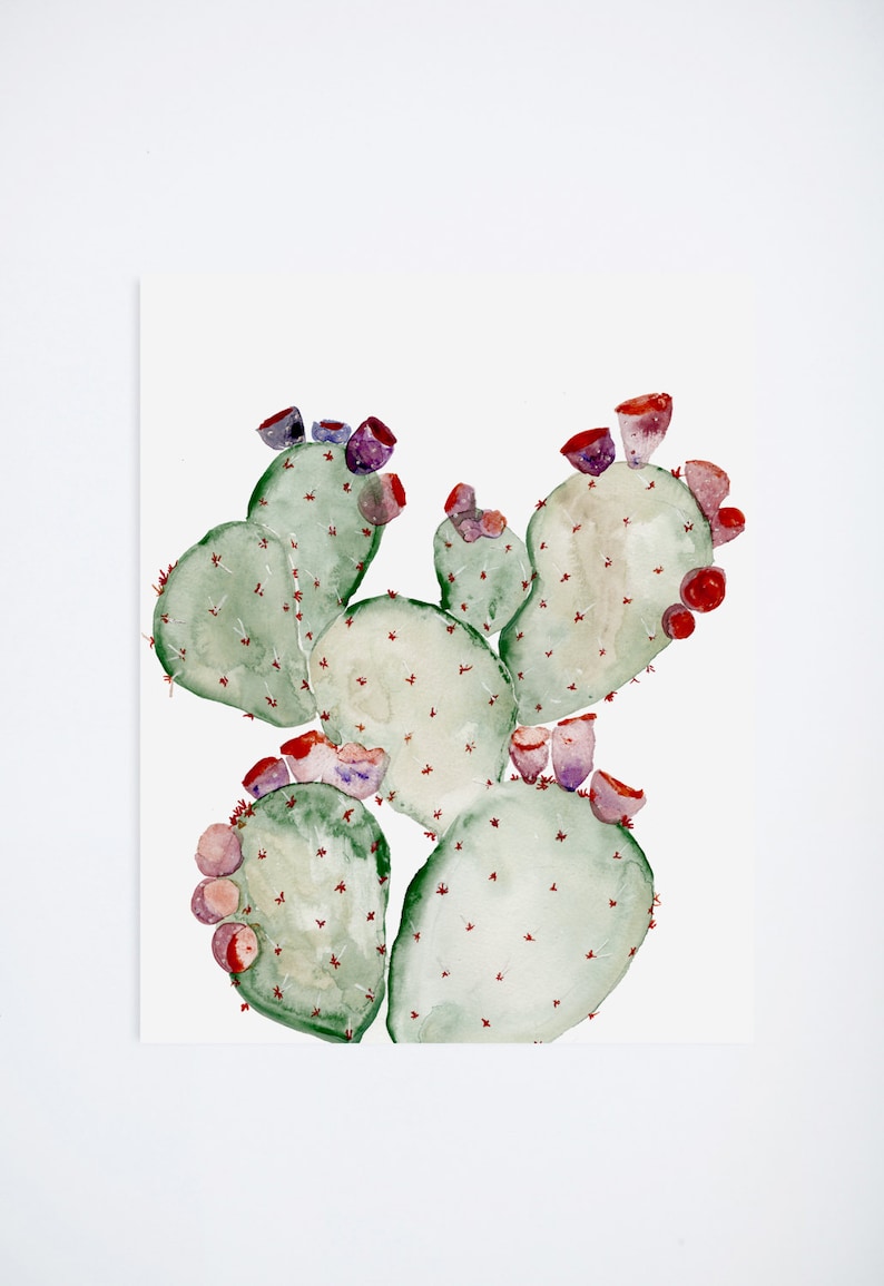 Watercolor Cacti 03 Sage Cactus Floral Prints 11 x 14 Illustration Art Print image 1