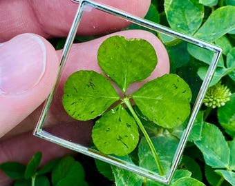 Llavero de trébol de cuatro hojas y flor prensada de la buena suerte, pieza de la naturaleza, adorno para bolso o cartera.